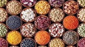 International Year of Millets