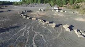 Fossil Forest