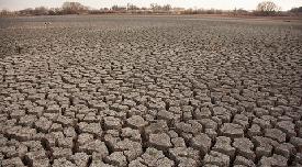 Drought