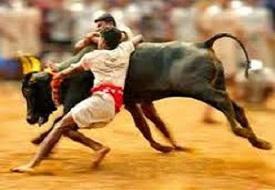 Jallikattu Bill