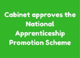 National Apprenticeship Promotion Scheme