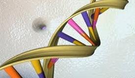 DNA