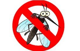 Eliminating Malaria