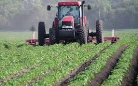 Agriculture Sector