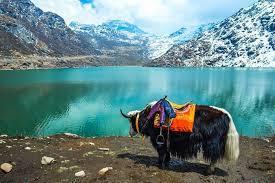 Sikkim