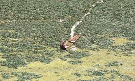 Draft Wetlands Conservation and Management
