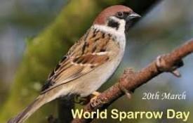 World Sparrow Day