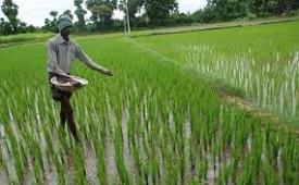 Hindustan Fertilizers Corporation Limited