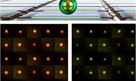Smallest Colour Pixel