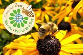World Bee Day