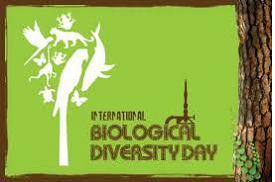 International Day of Biodiversity