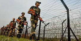 Smart Fencing along Indo Park Border