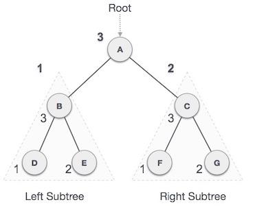 Post Order Traversal