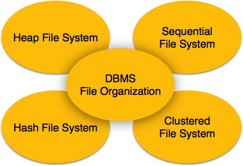 File Organization