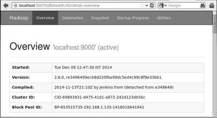 Hadoop auf Browser