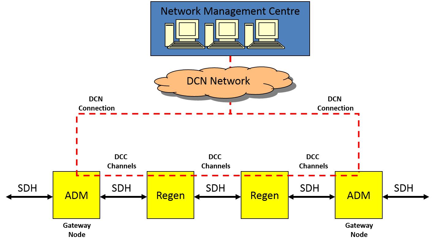 SDH Management