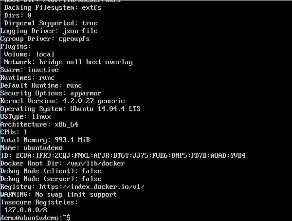 Docker Info Example Output