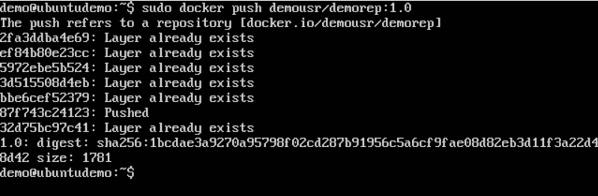 Docker Push