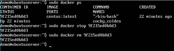 Docker RM