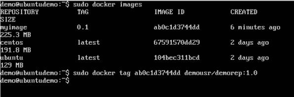 Docker Tag