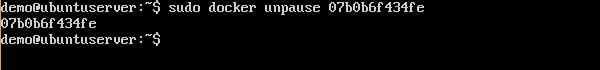 Docker Unpause
