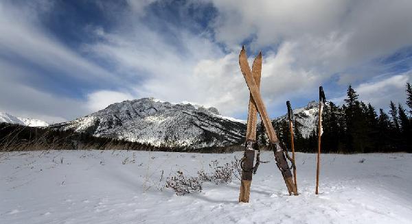 downhill skiing skies