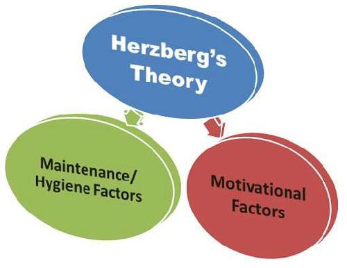 Hygiene Factors
