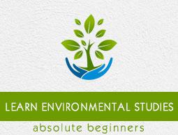 Environmental Studies Tutorial