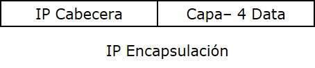 IP encapsulación