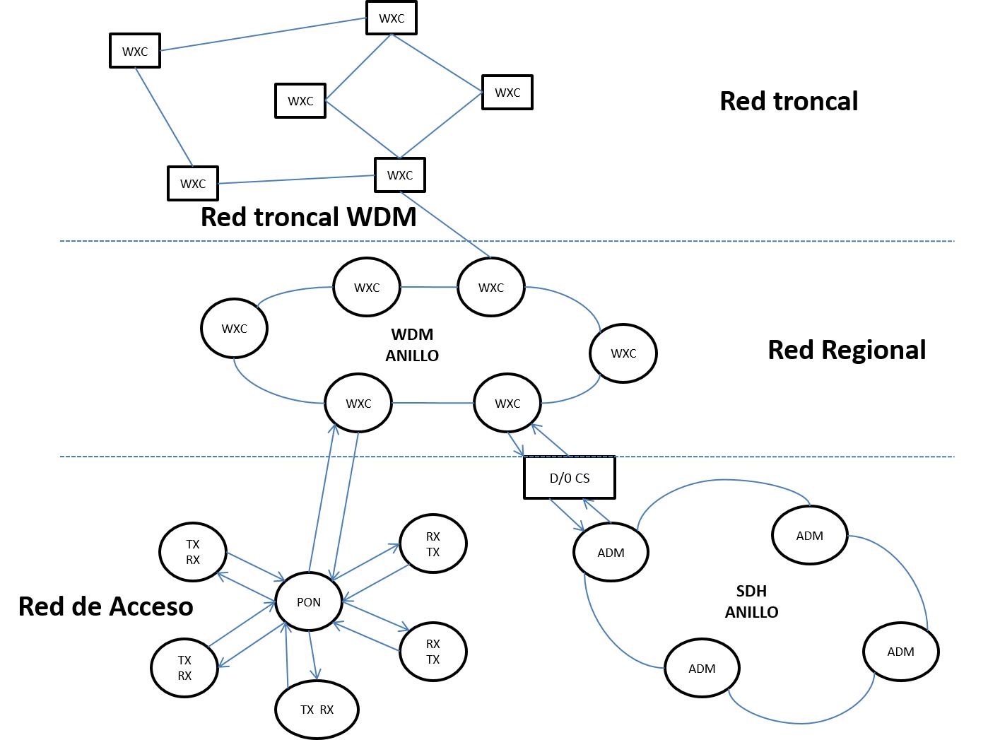 red troncal