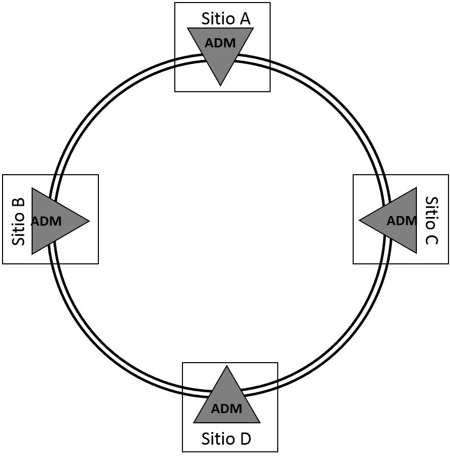 DWDM en Red