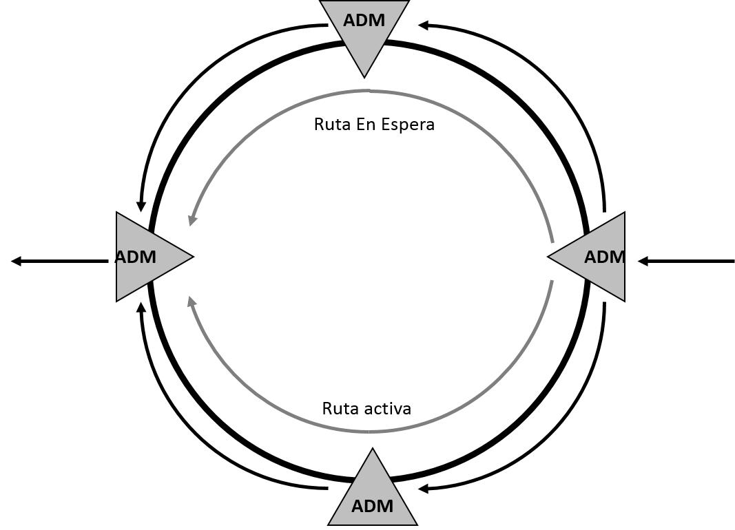 SDH Red de Resiliencia