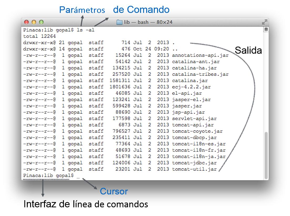 Command Line Interface (CLI)
