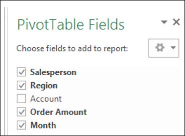 PivotTable Fields