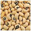 Black Eyed Peas