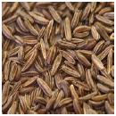 Caraway