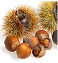 Chestnut