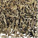 Cumin