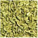 Fennel