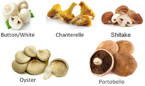 Fungi Vegetables