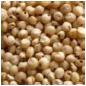 Jowar
