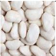 Lima Beans