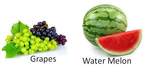 Non-Citrus Fruits
