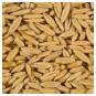 Oats