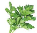 Parsley