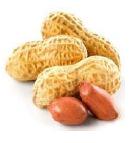 Peanut