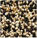 Sesame