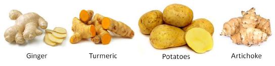 Tuber Vegetables
