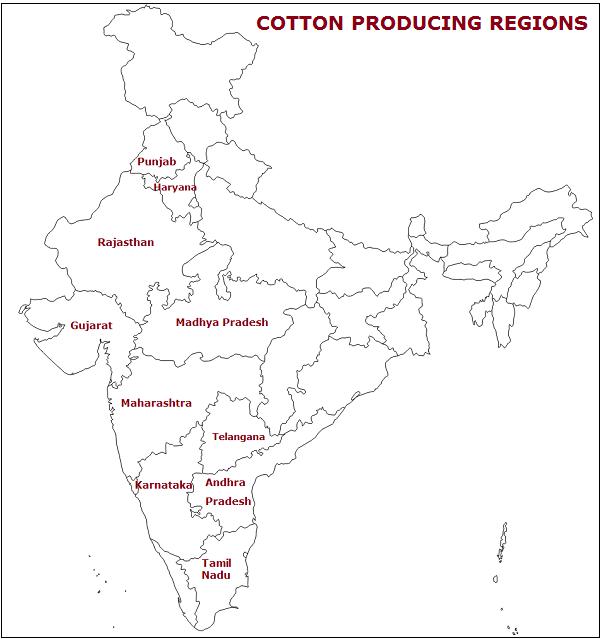 Cotton Producing