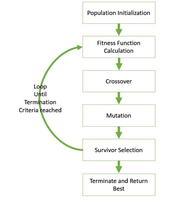 Basic Structure